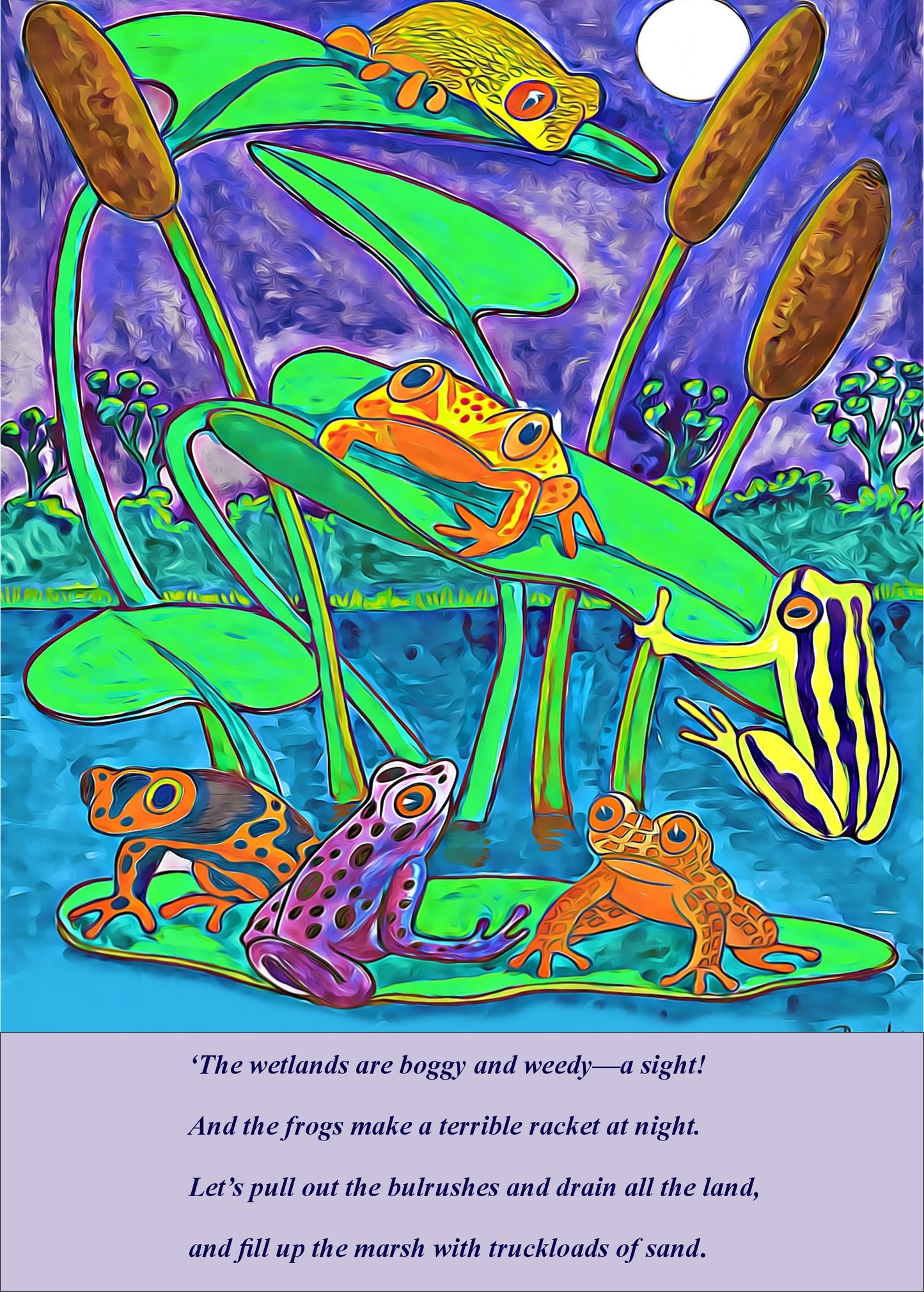 The Wetlands